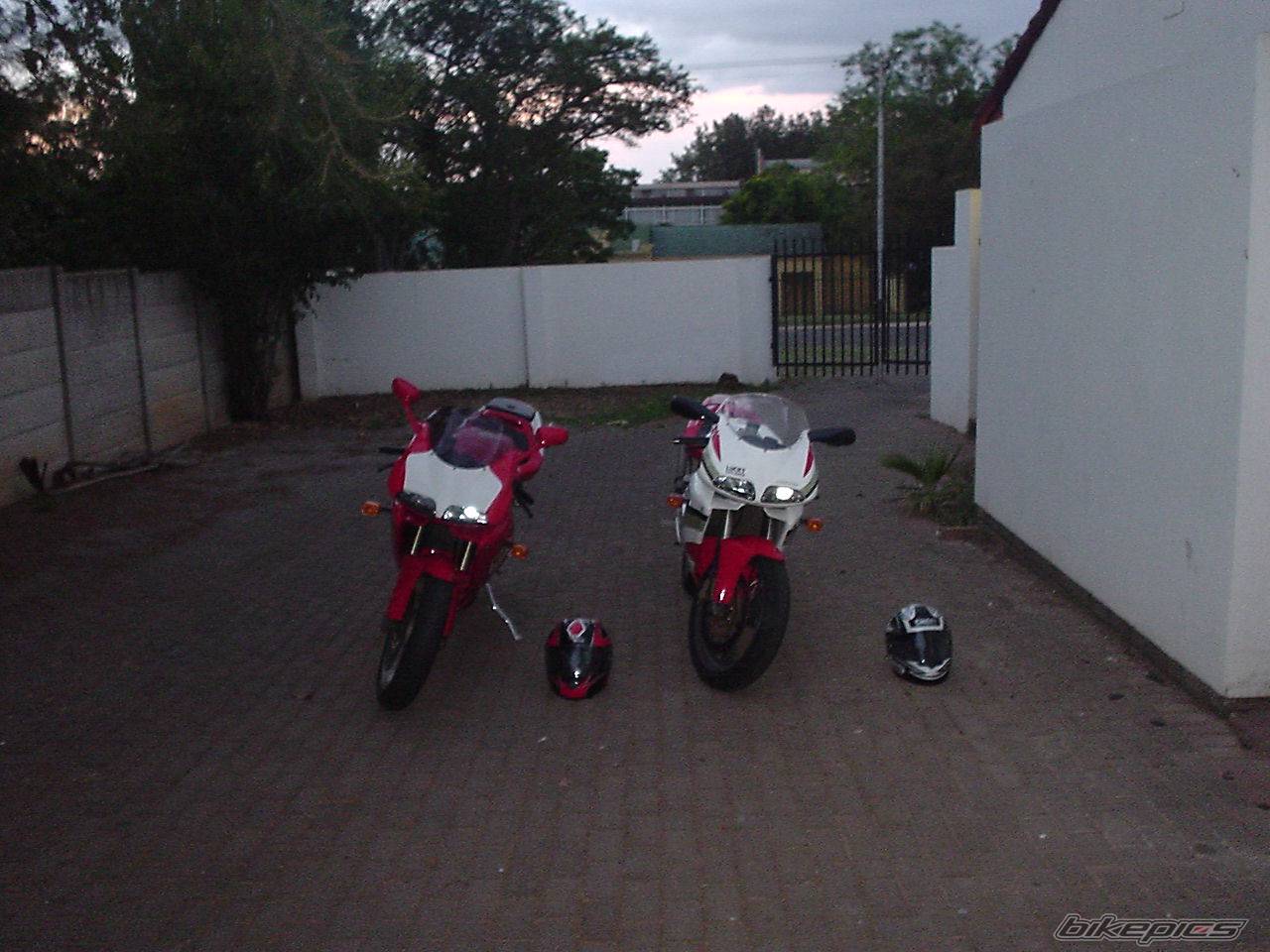 Photo 257330