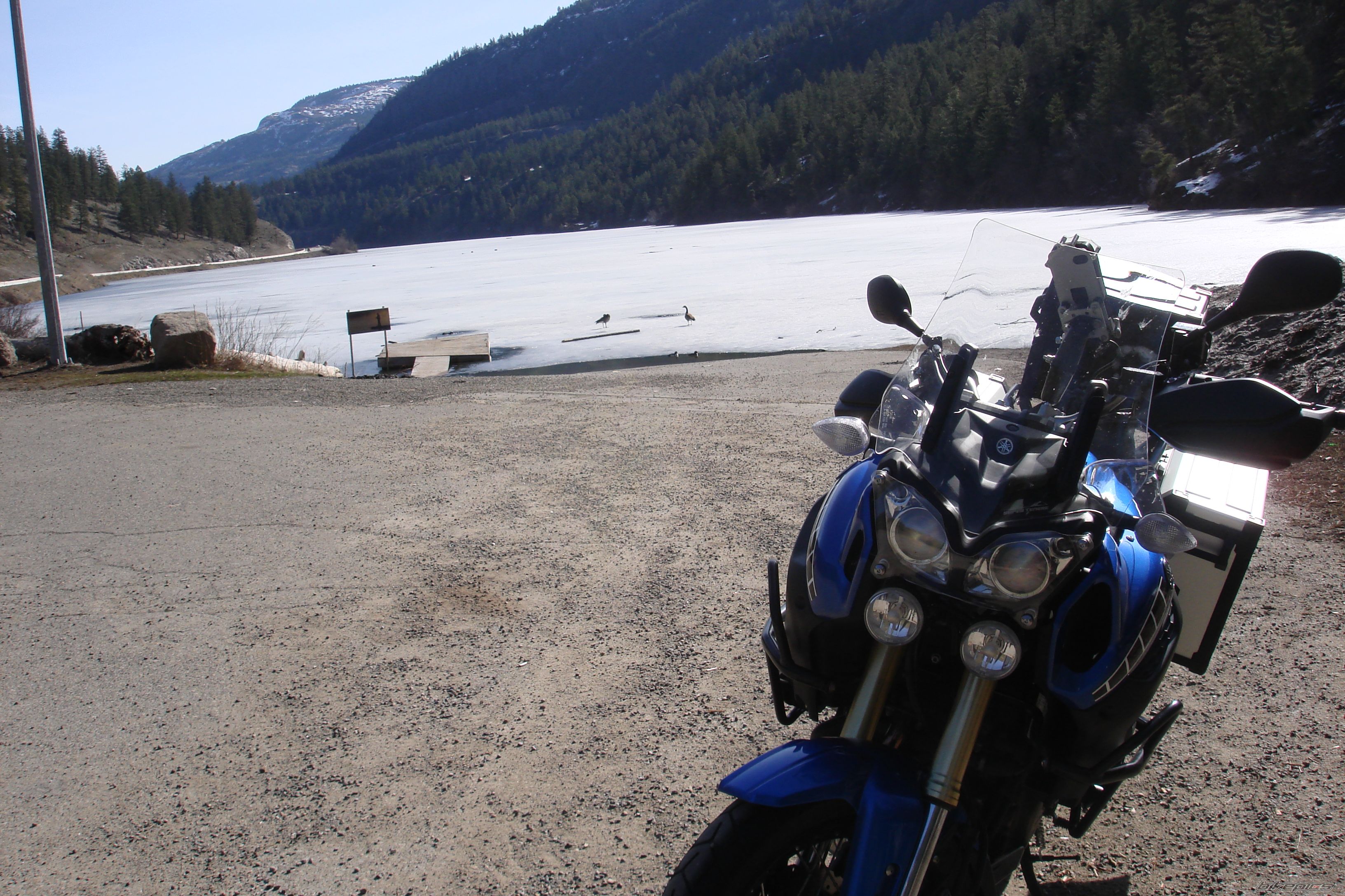 Photo 2573313