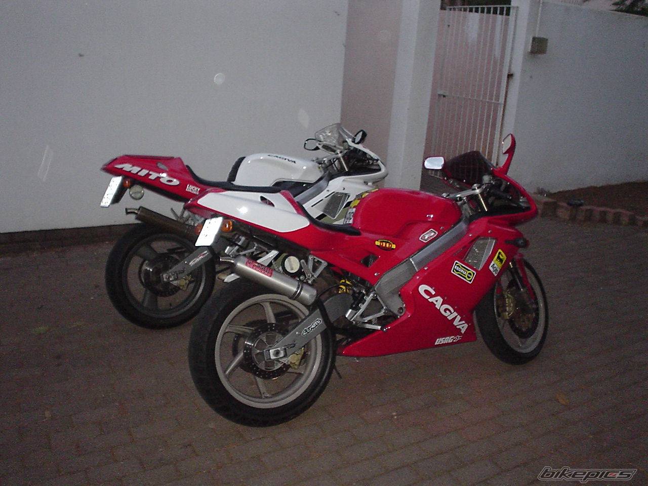 Photo 257333