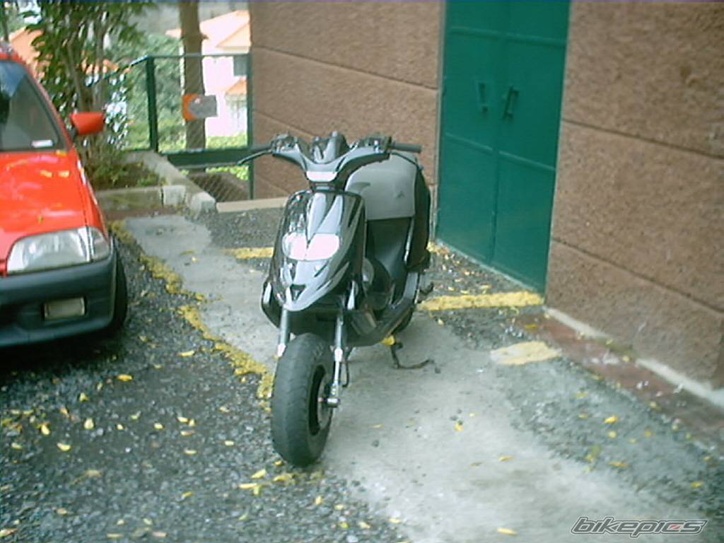 Photo 257346