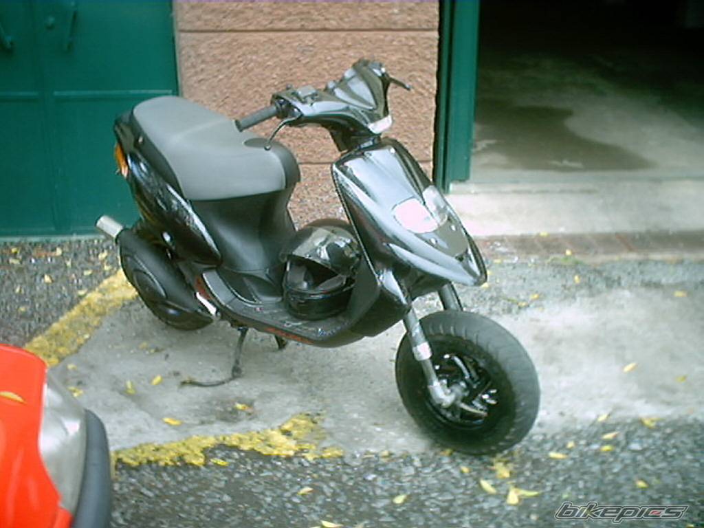 Photo 257347