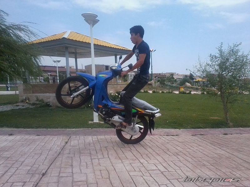 Photo 2573481