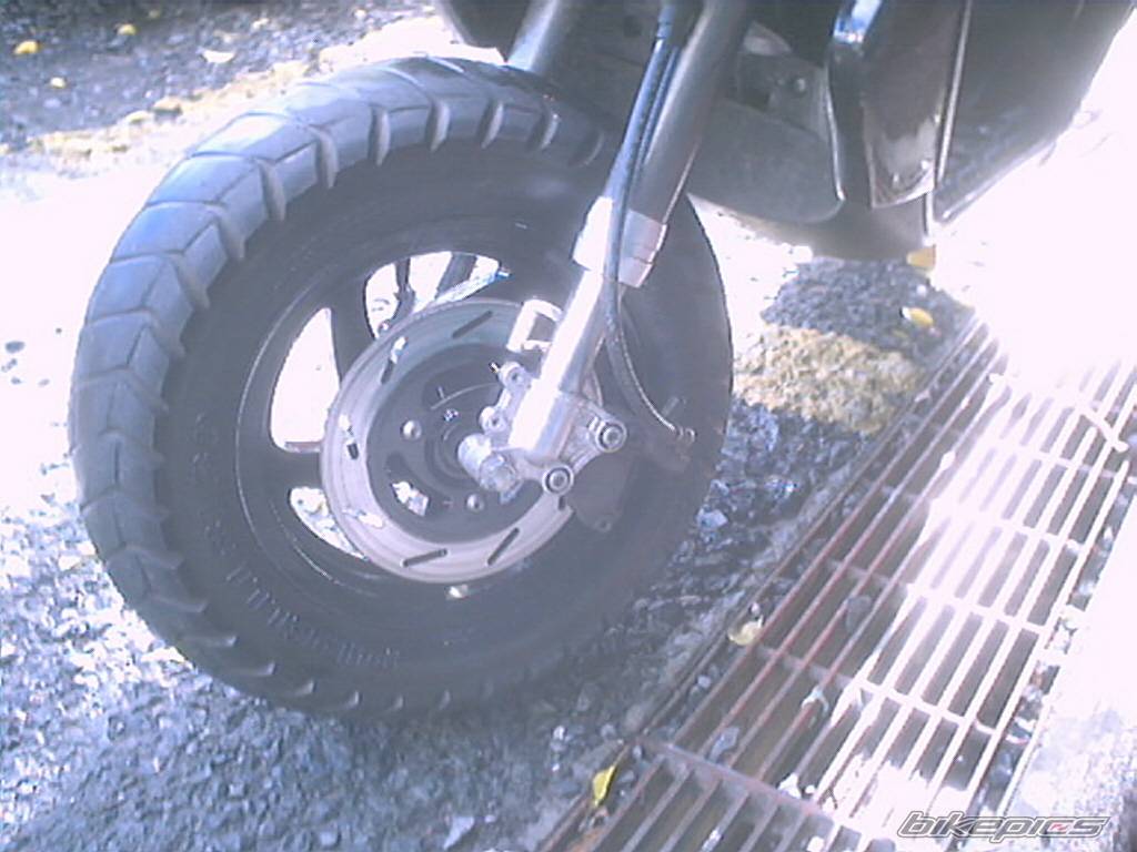 Photo 257349