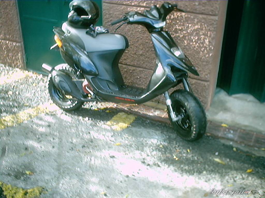 Photo 257350