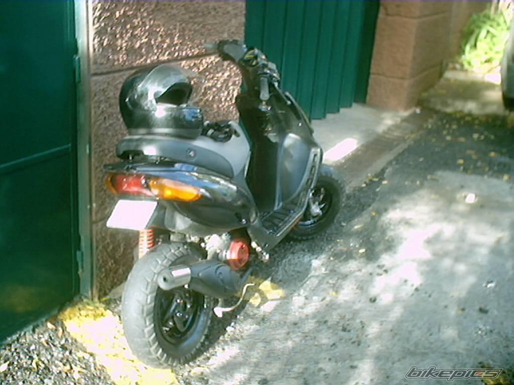 Photo 257351