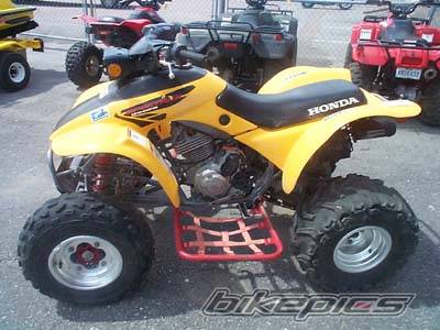 Photo 257352