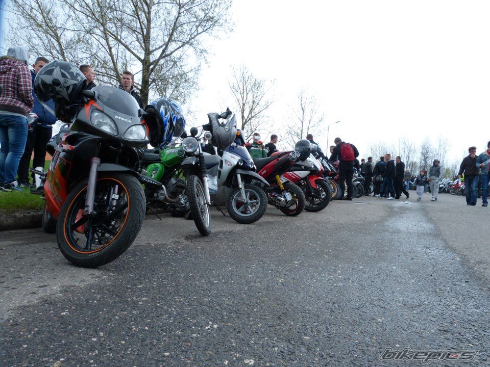 Photo 2573540