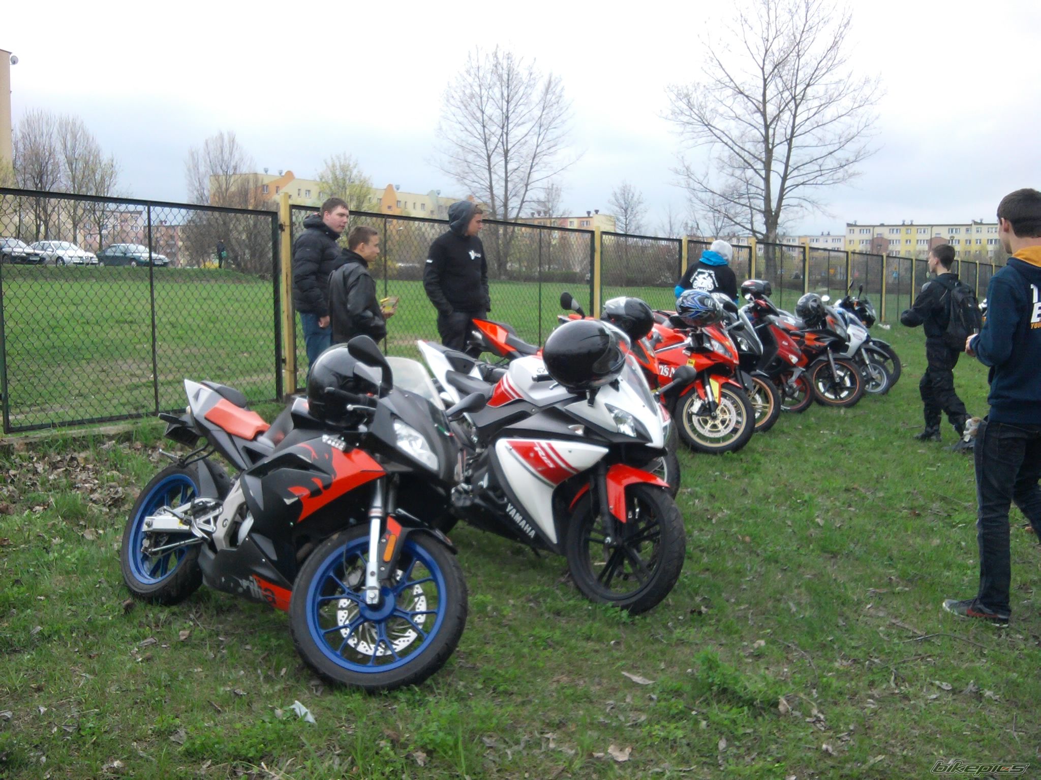 Photo 2573554