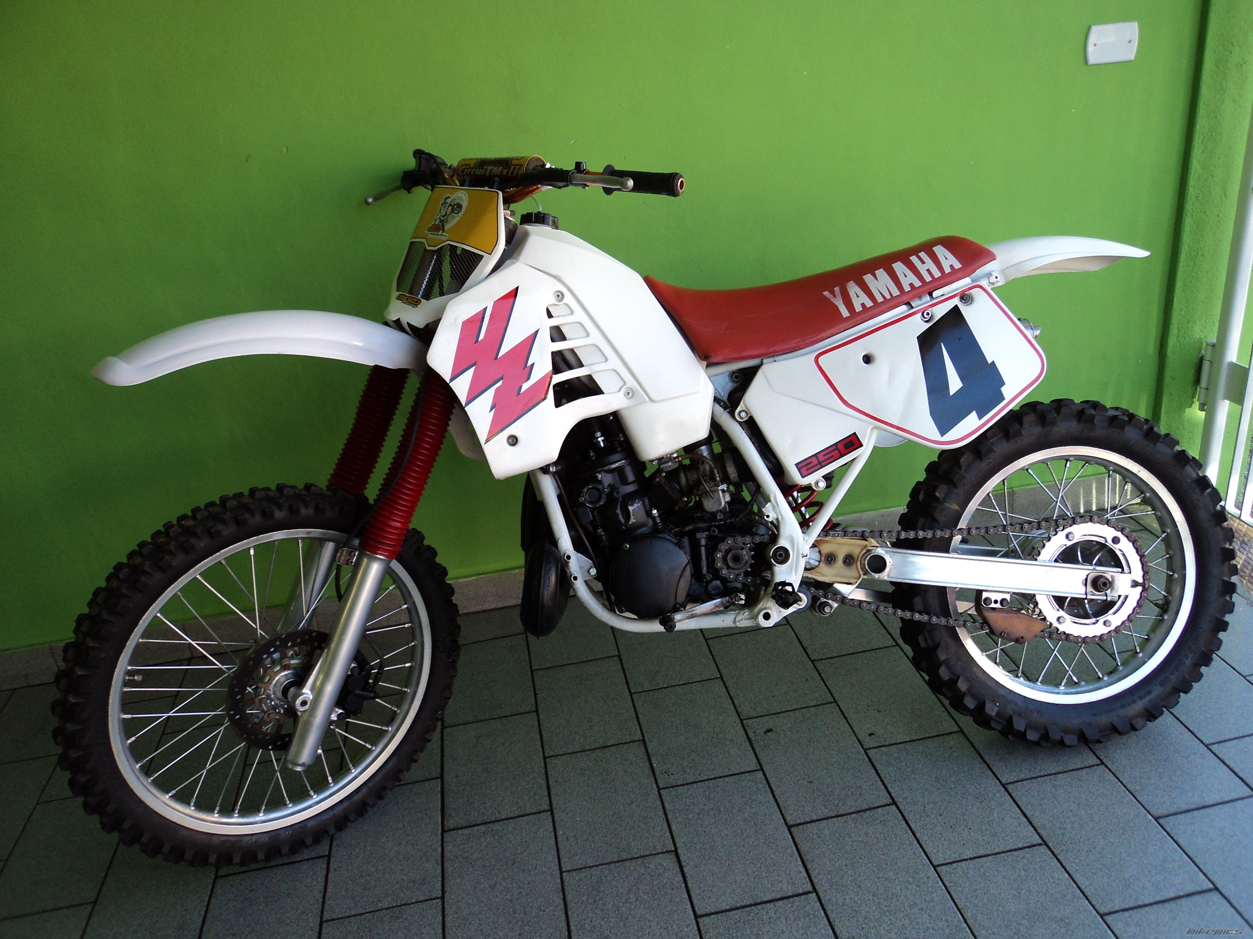 Photo 2573695