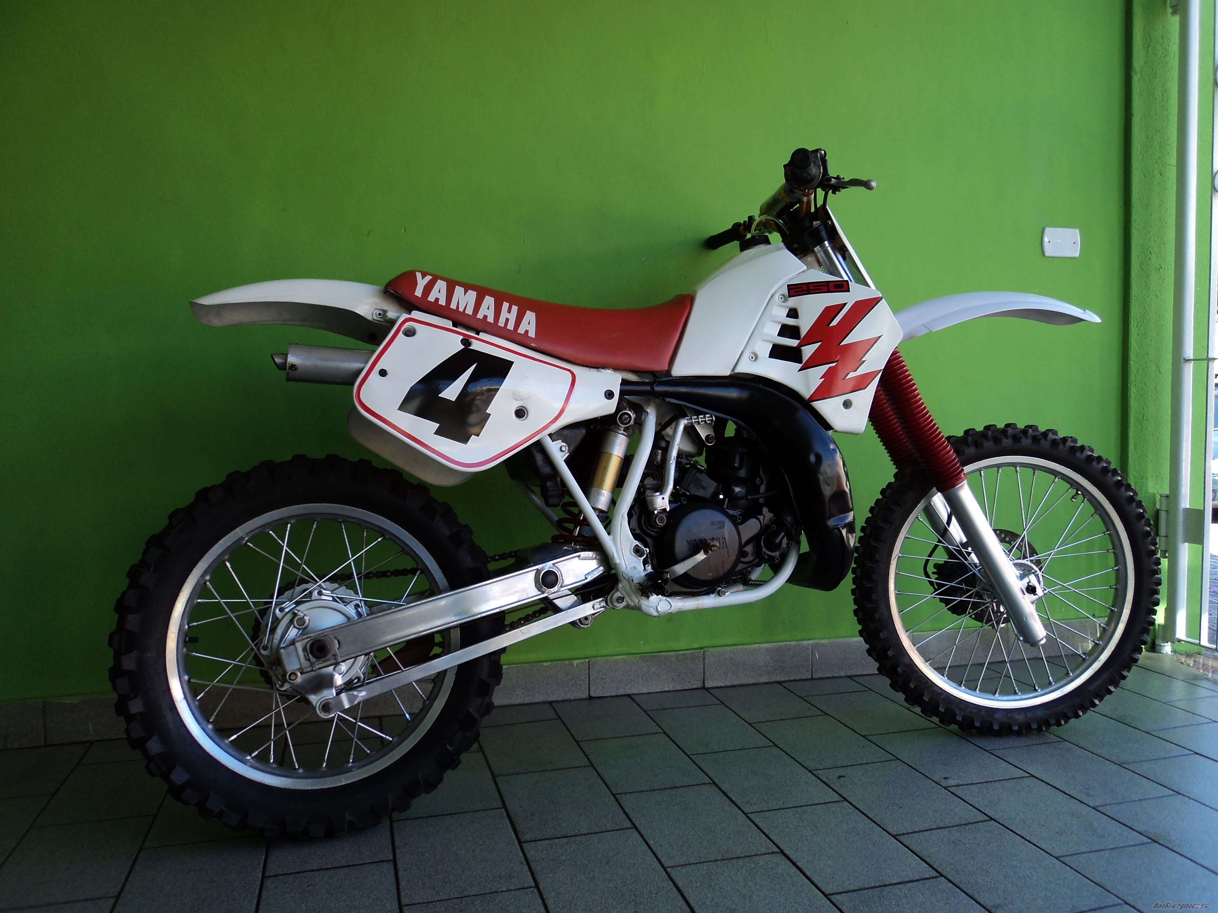 Photo 2573700