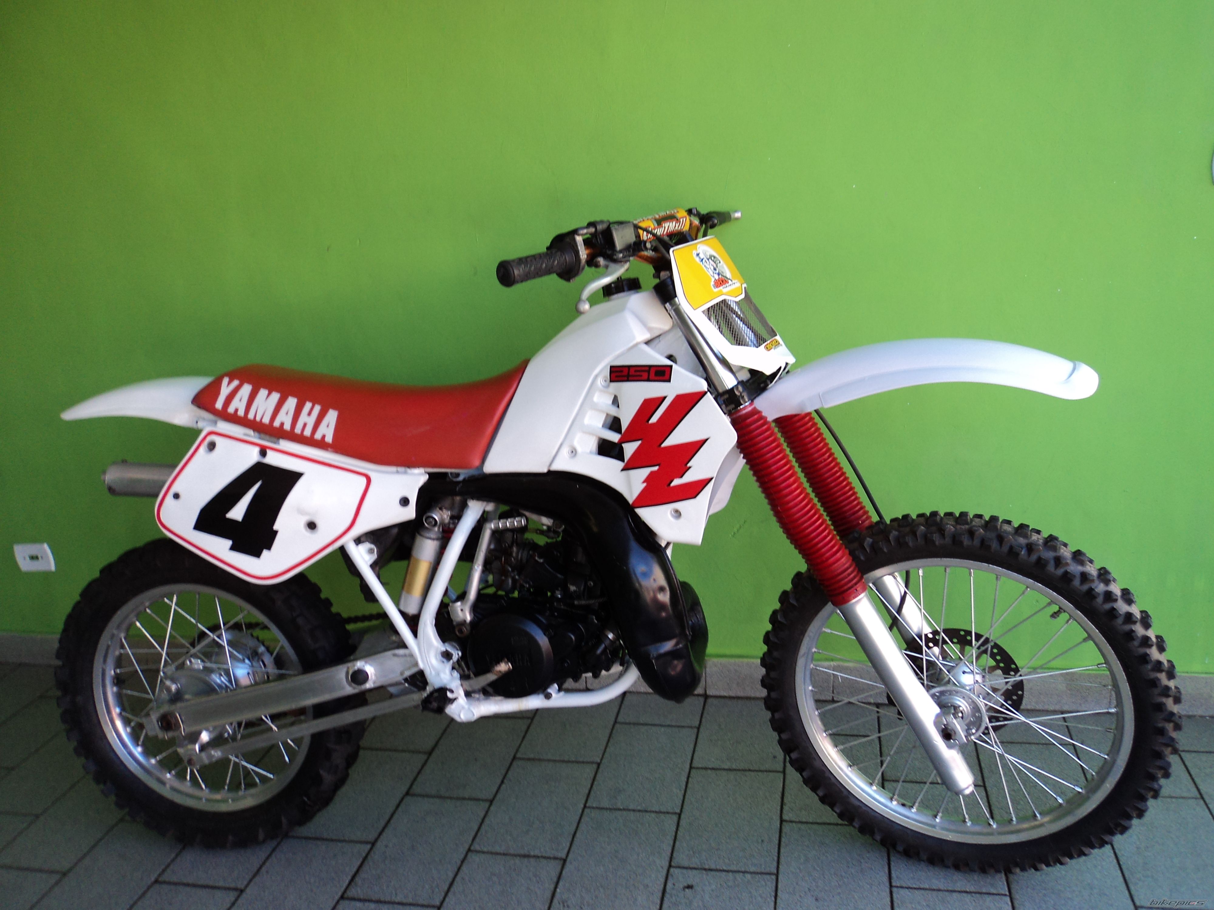 Photo 2573703
