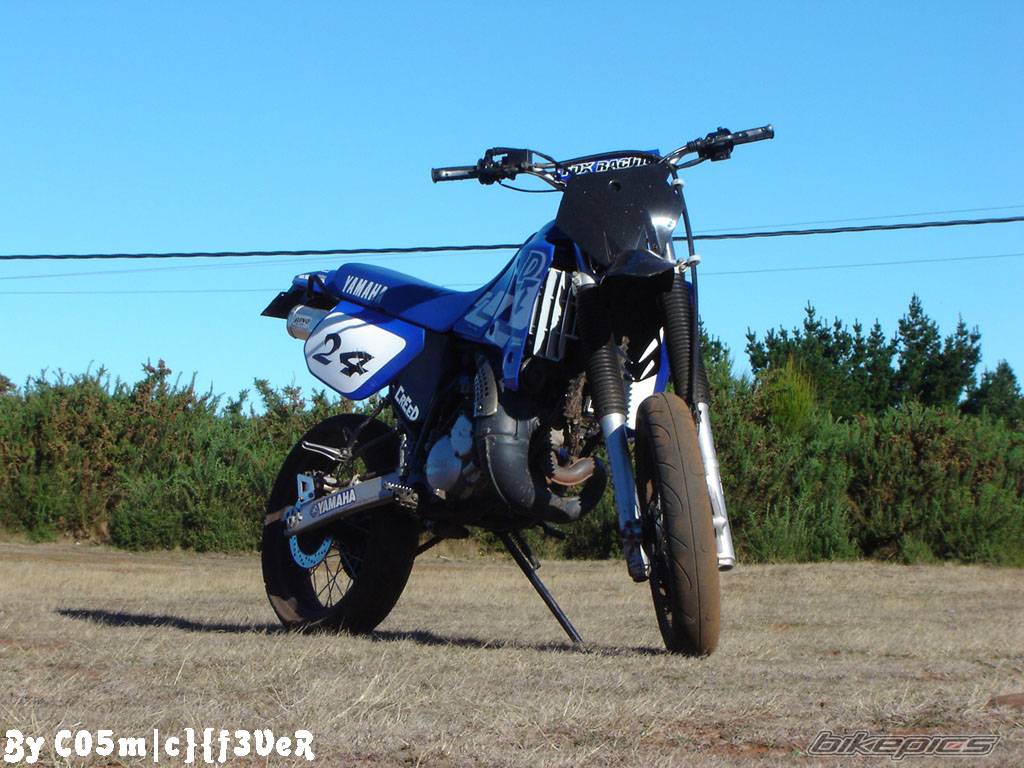 Photo 257379