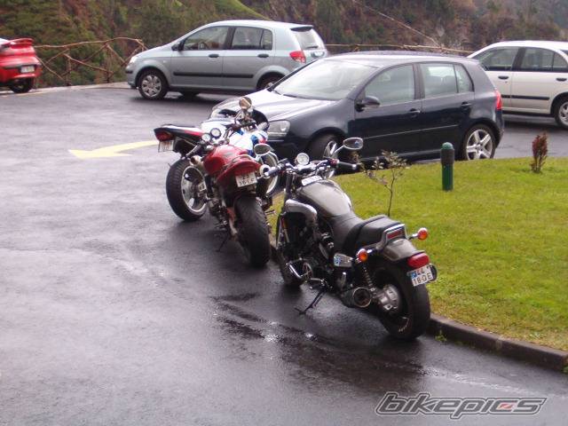 Photo 257383