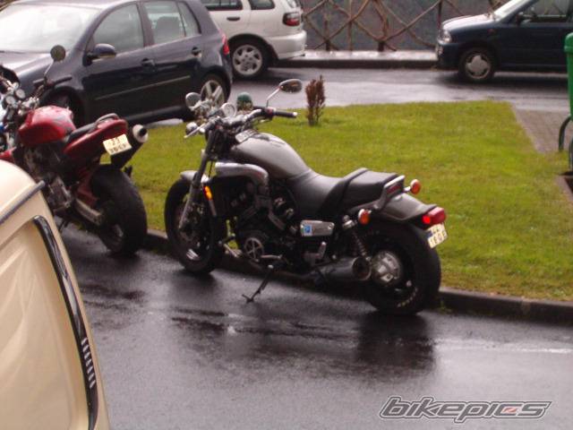 Photo 257384