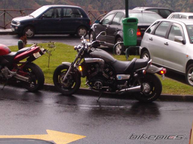Photo 257385