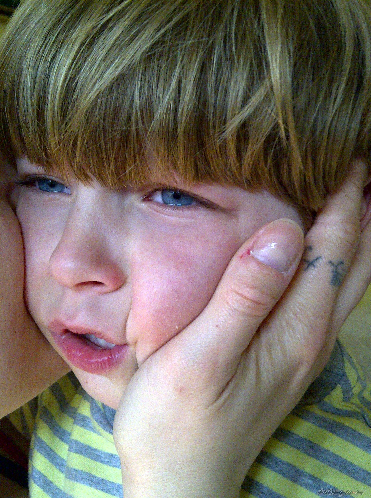Photo 2573896