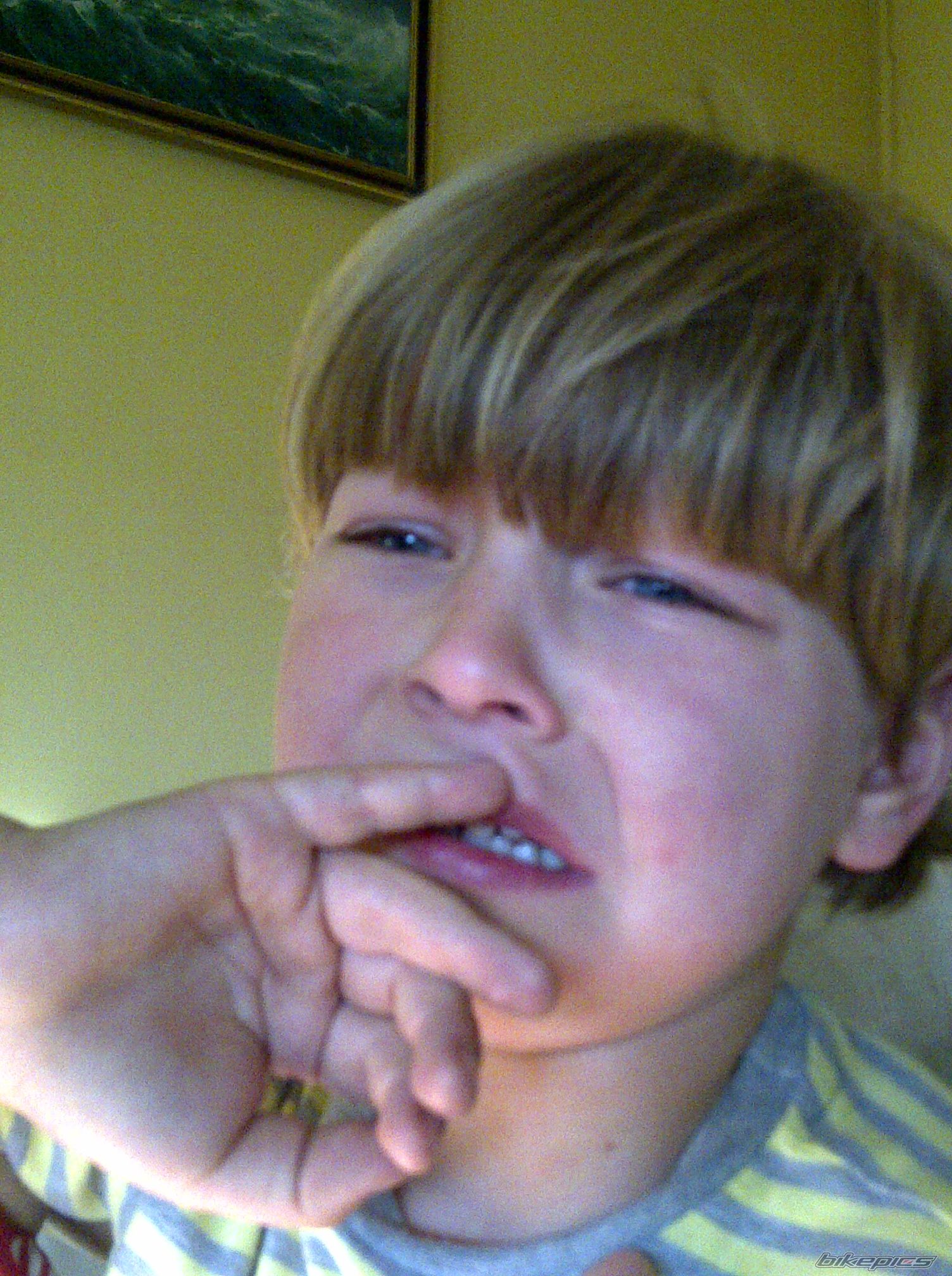 Photo 2573897