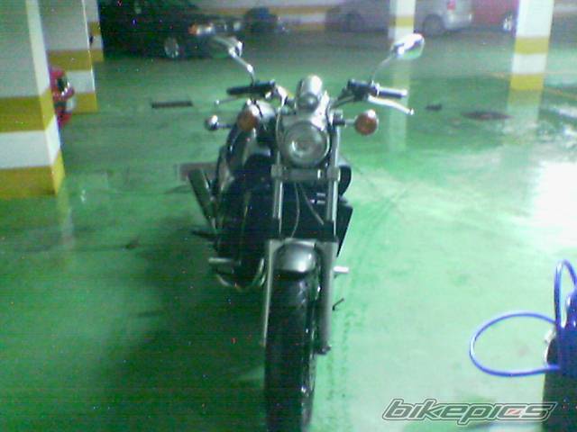 Photo 257399