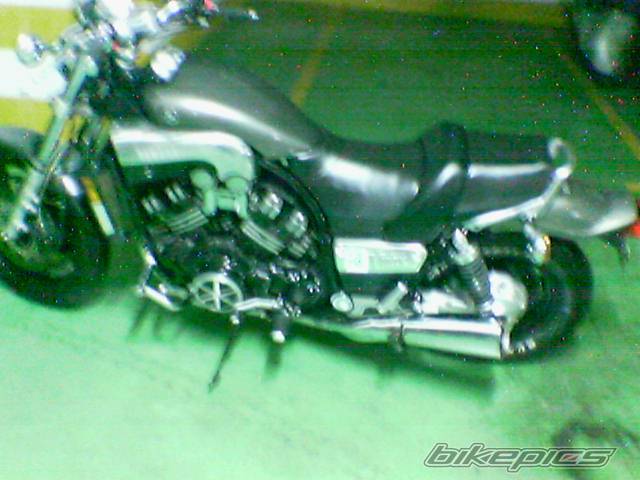 Photo 257405
