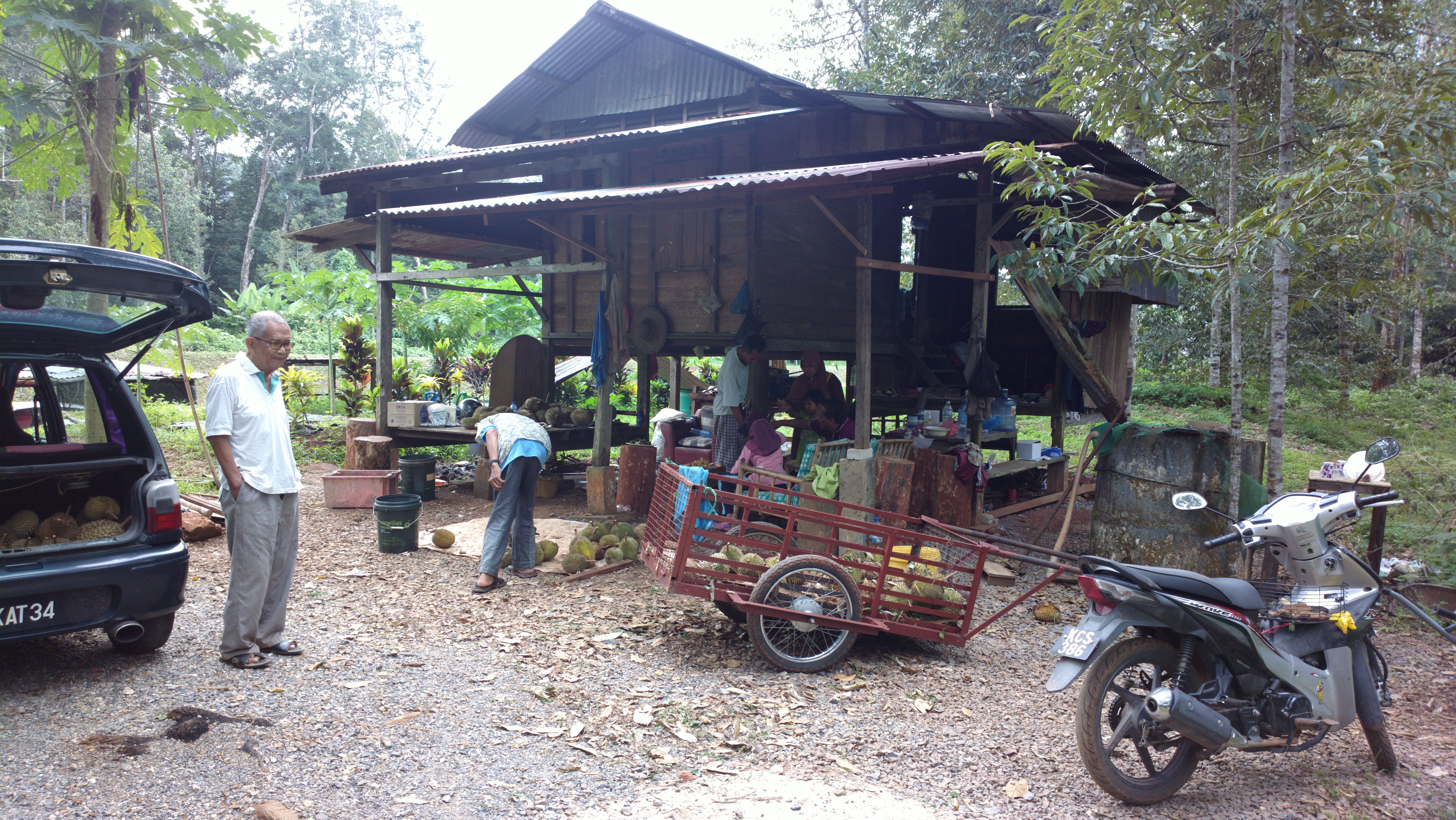 Photo 2574053