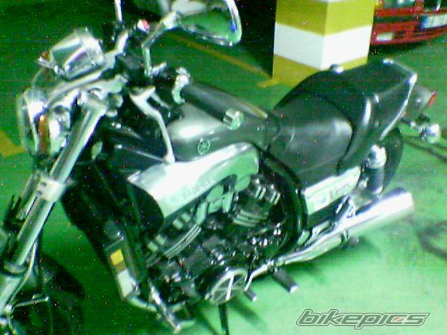 Photo 257410