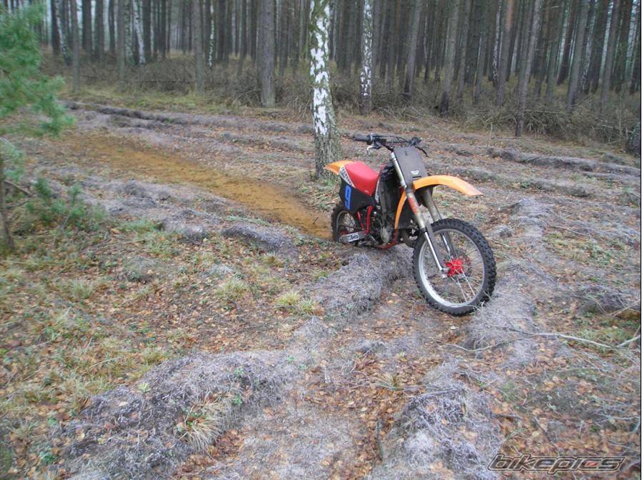 Bike Photo 257415