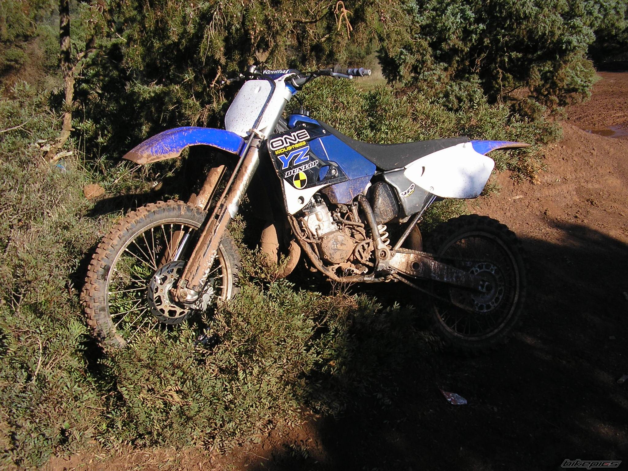Photo 257418