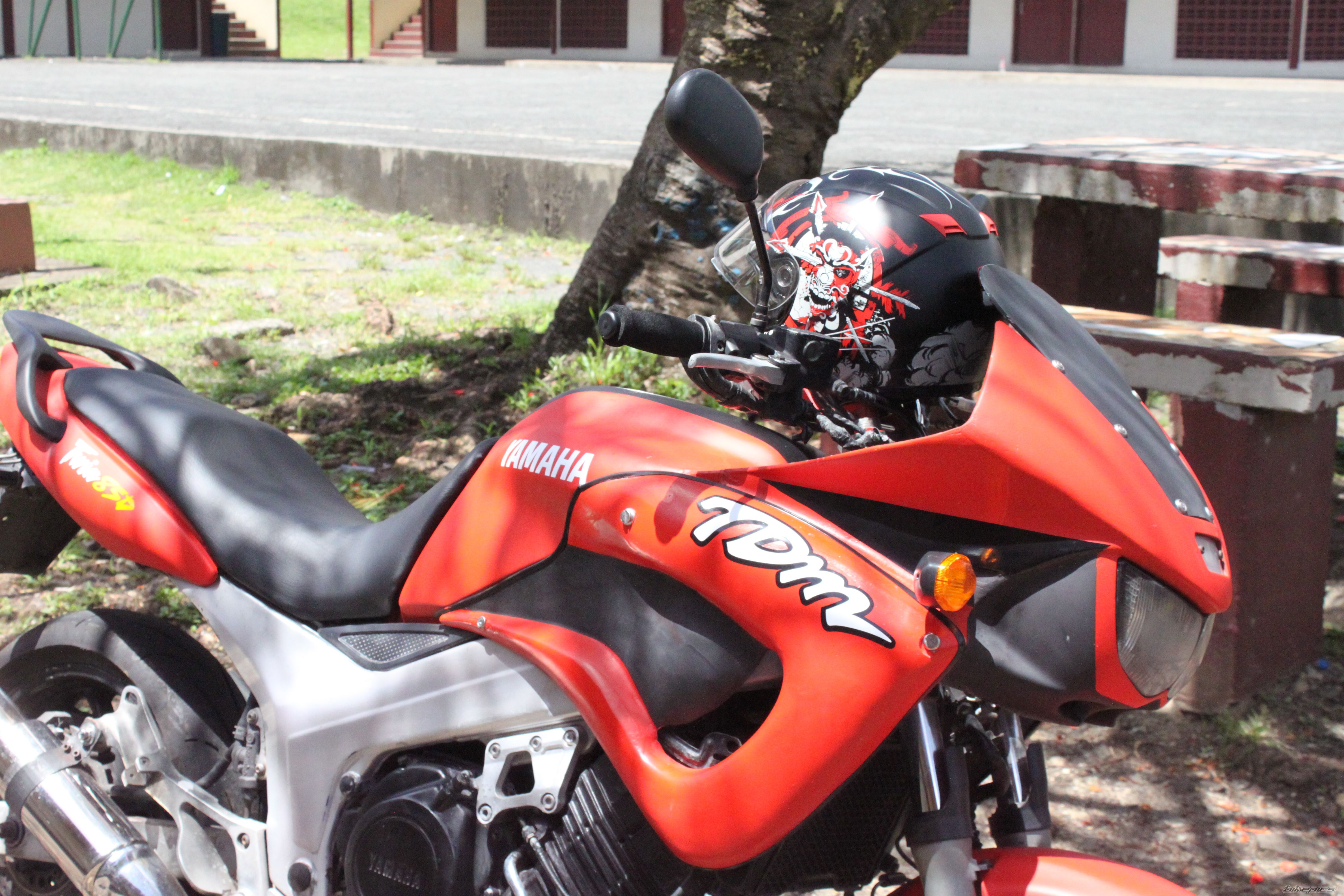Photo 2574219