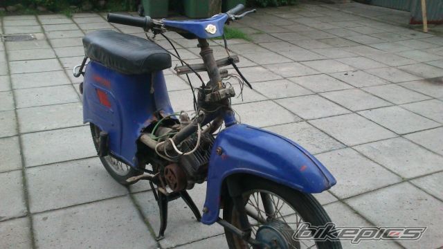 Photo 2574235