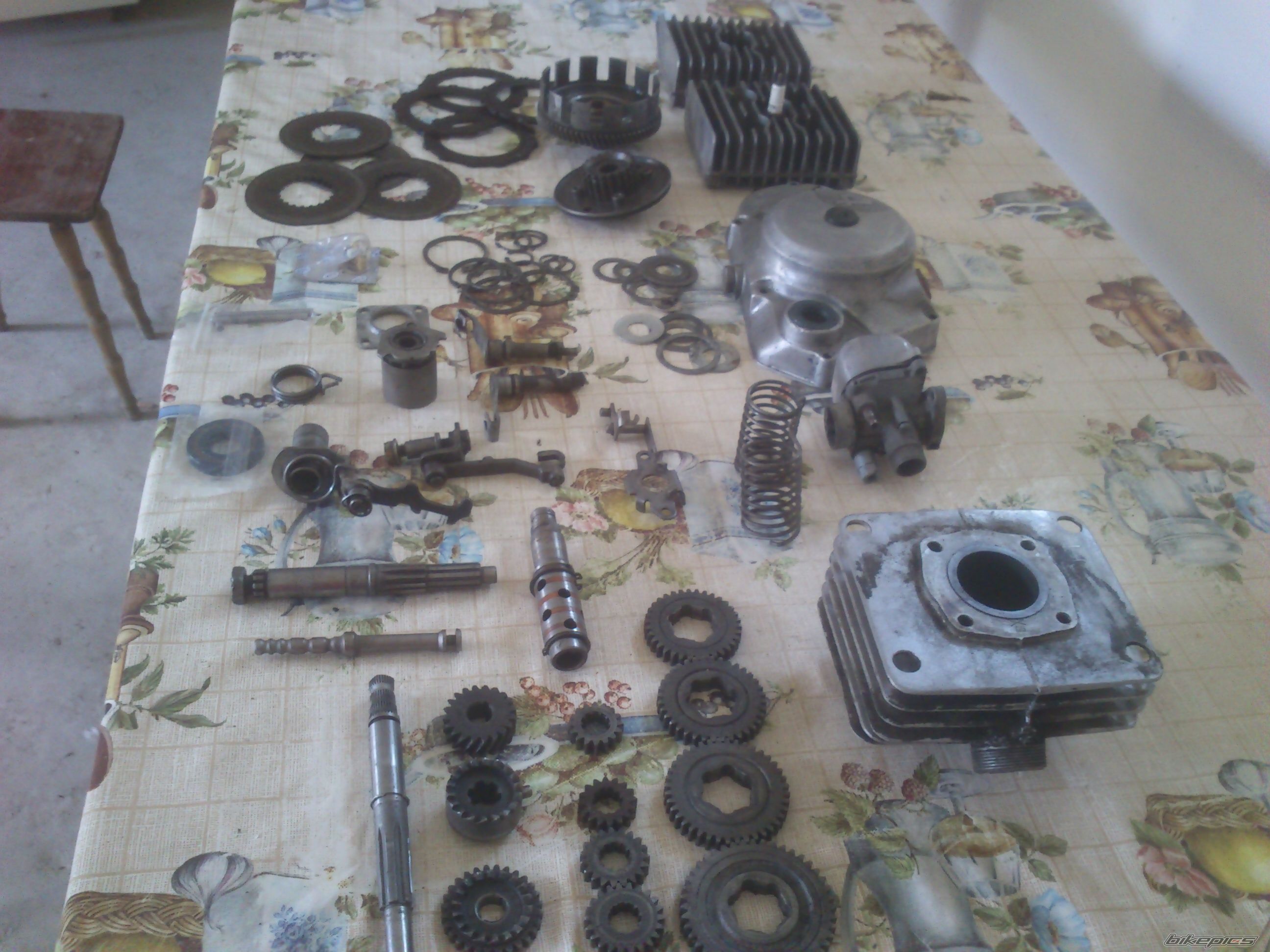Photo 2574248