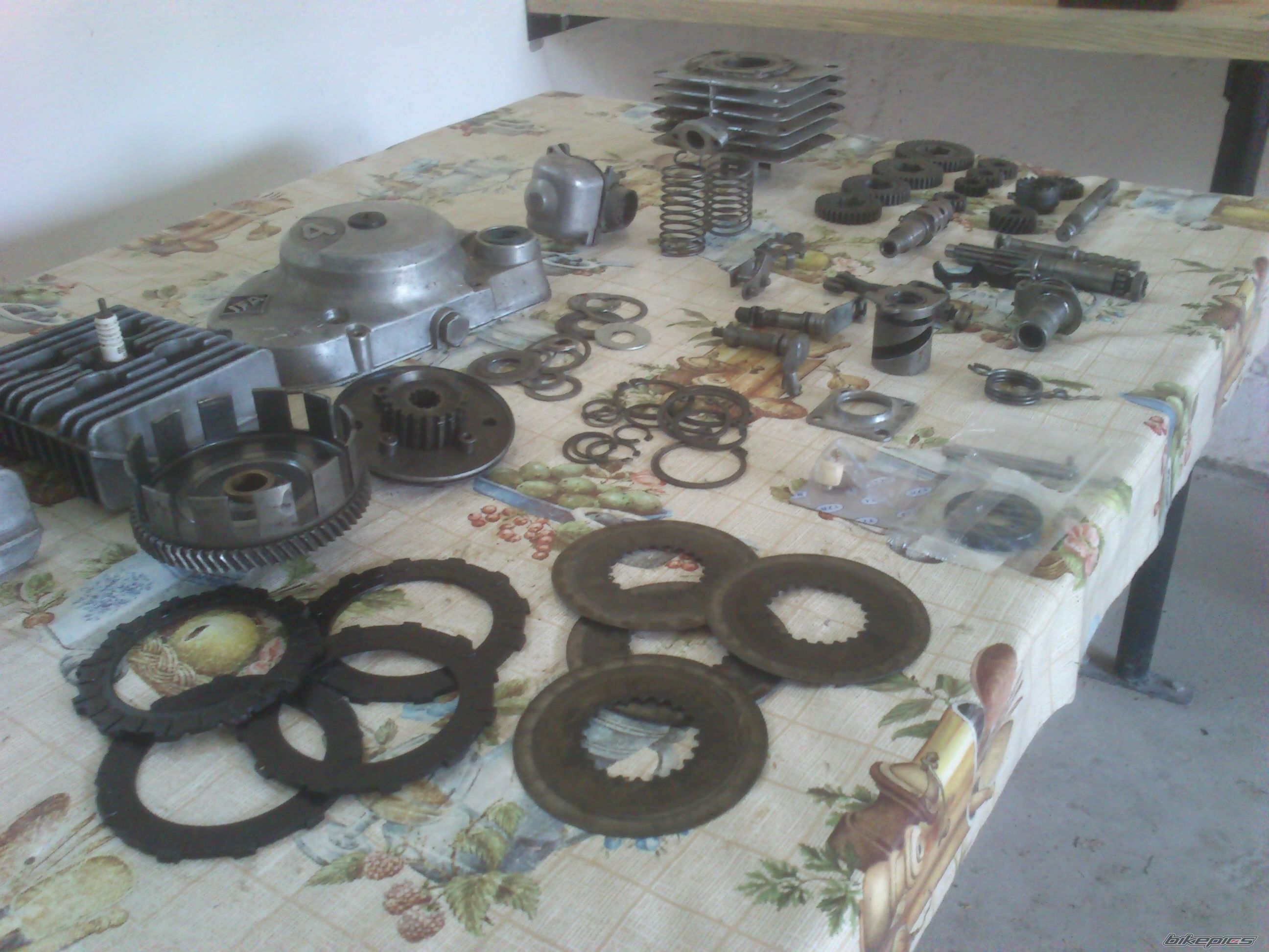Photo 2574252