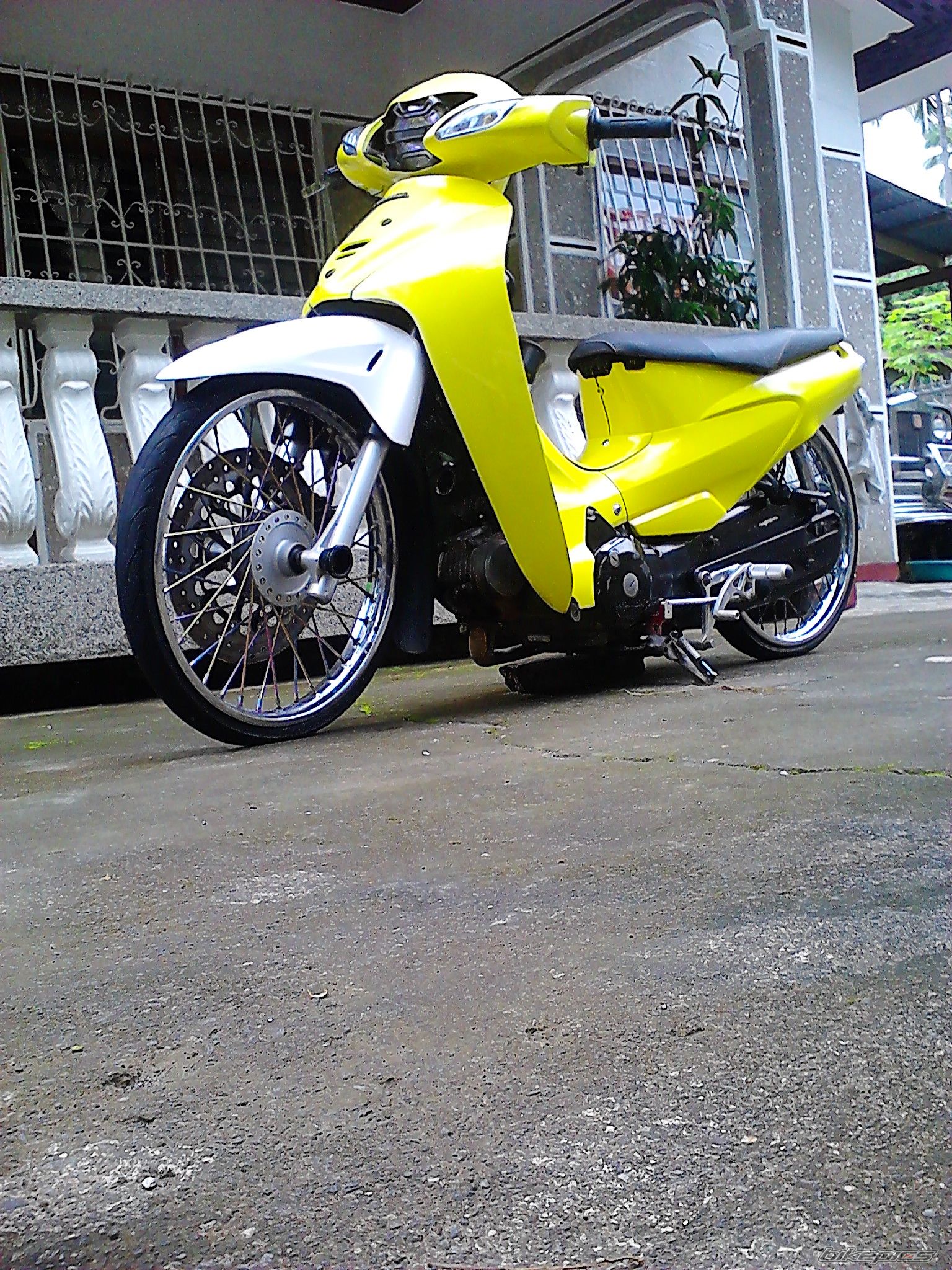 Photo 2574264