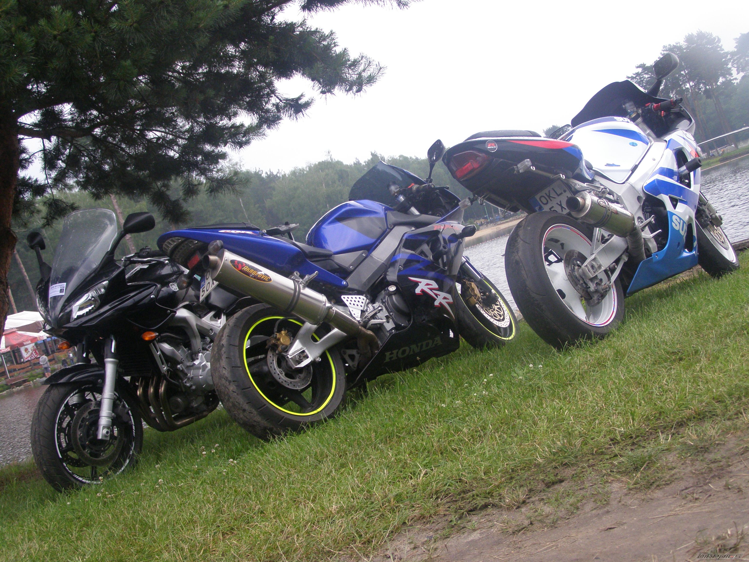 Photo 2574266