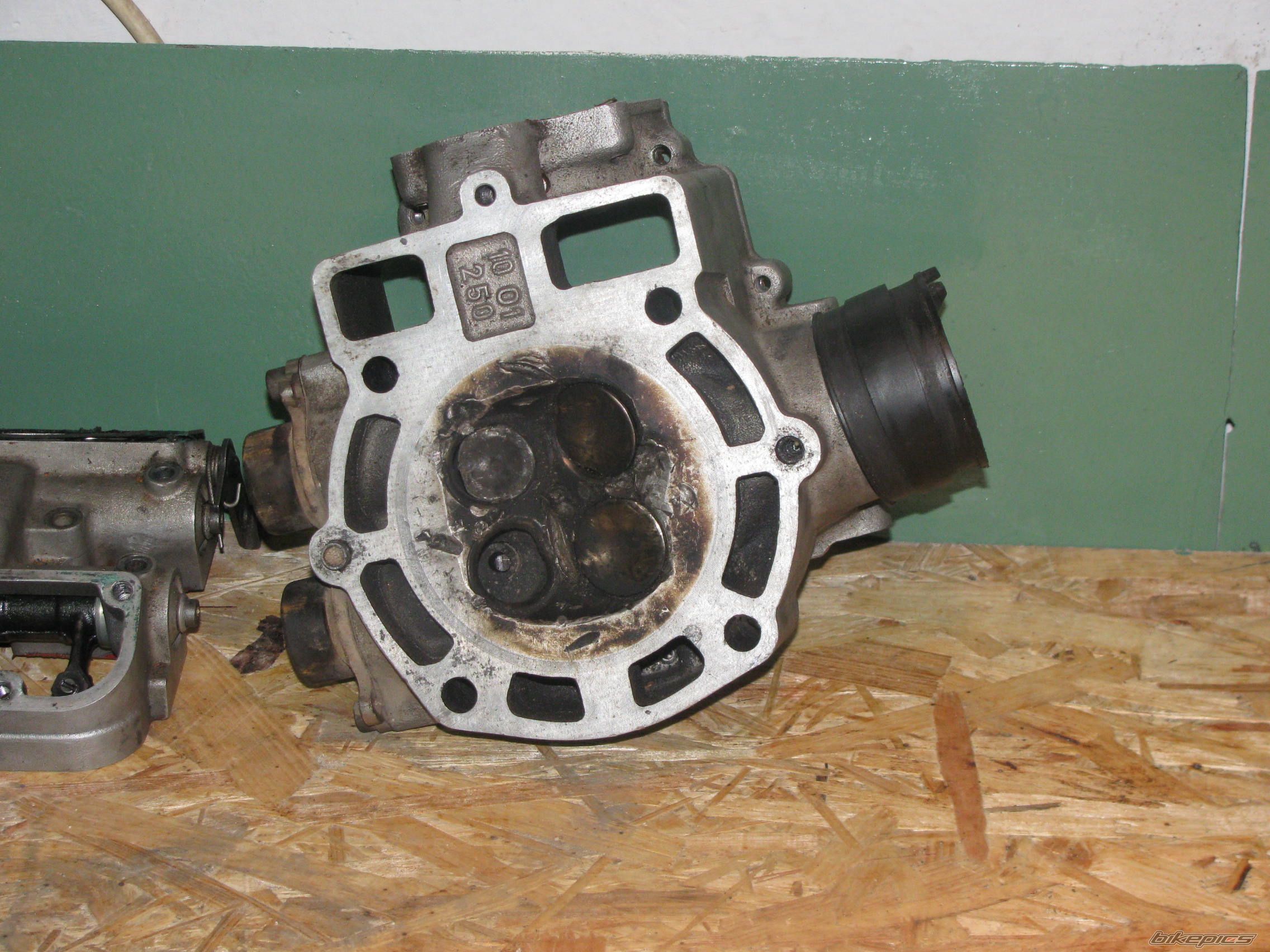 Photo 2574288