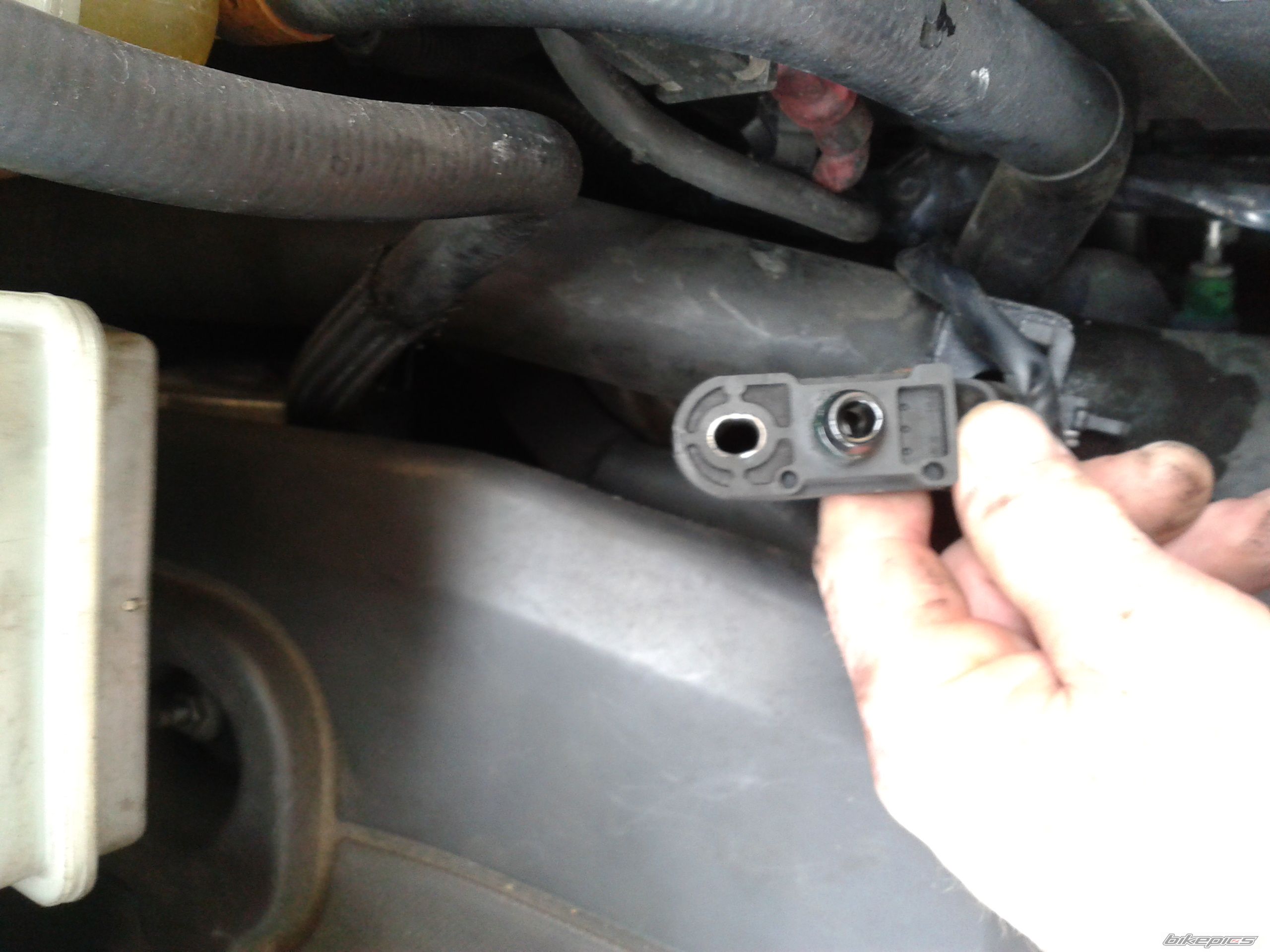 Photo 2574324