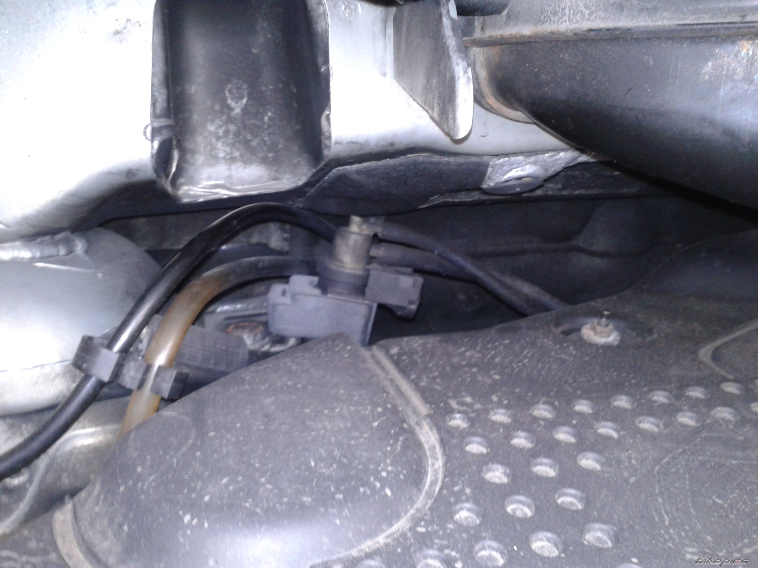 Photo 2574327