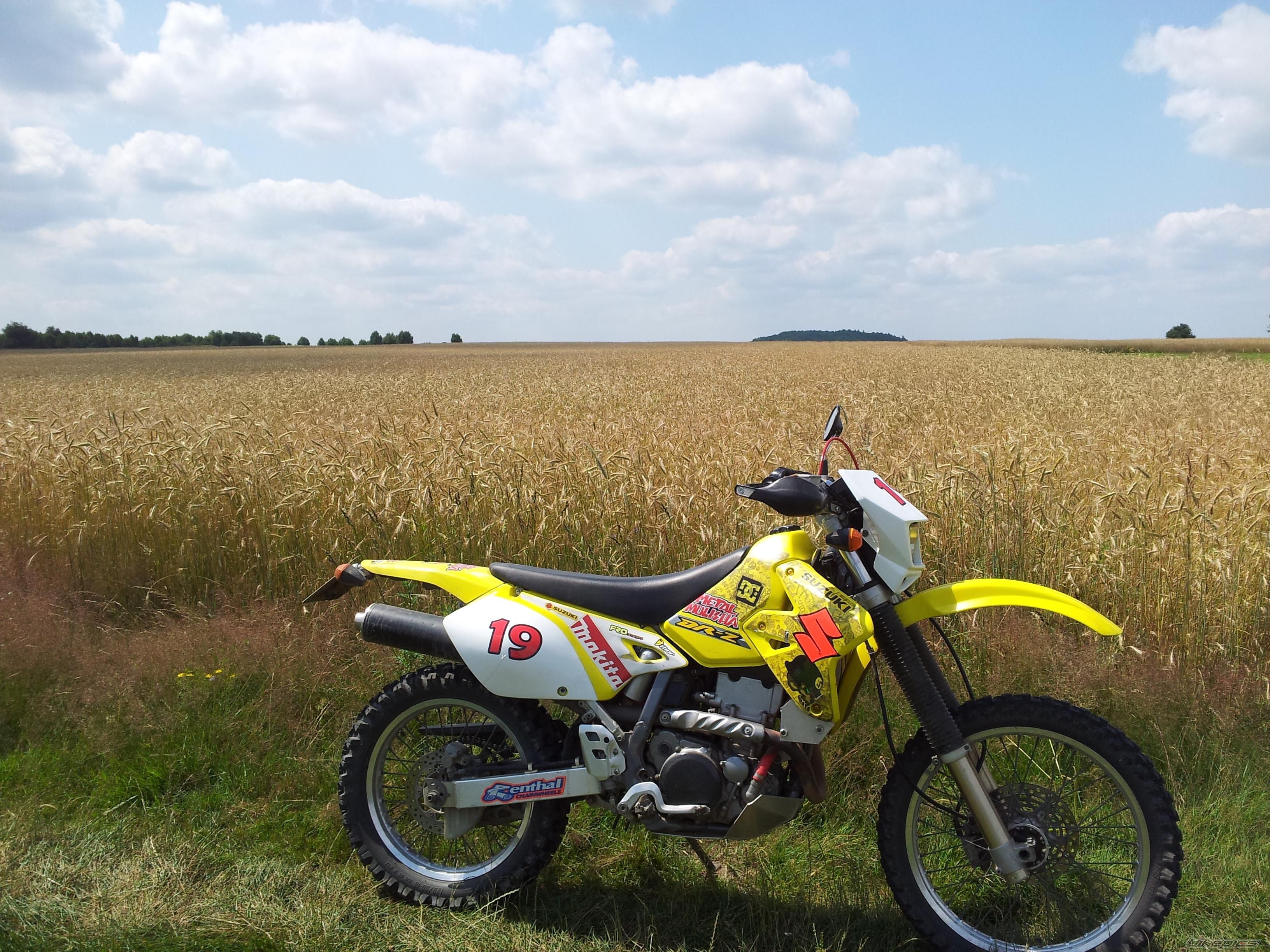 Photo 2574330