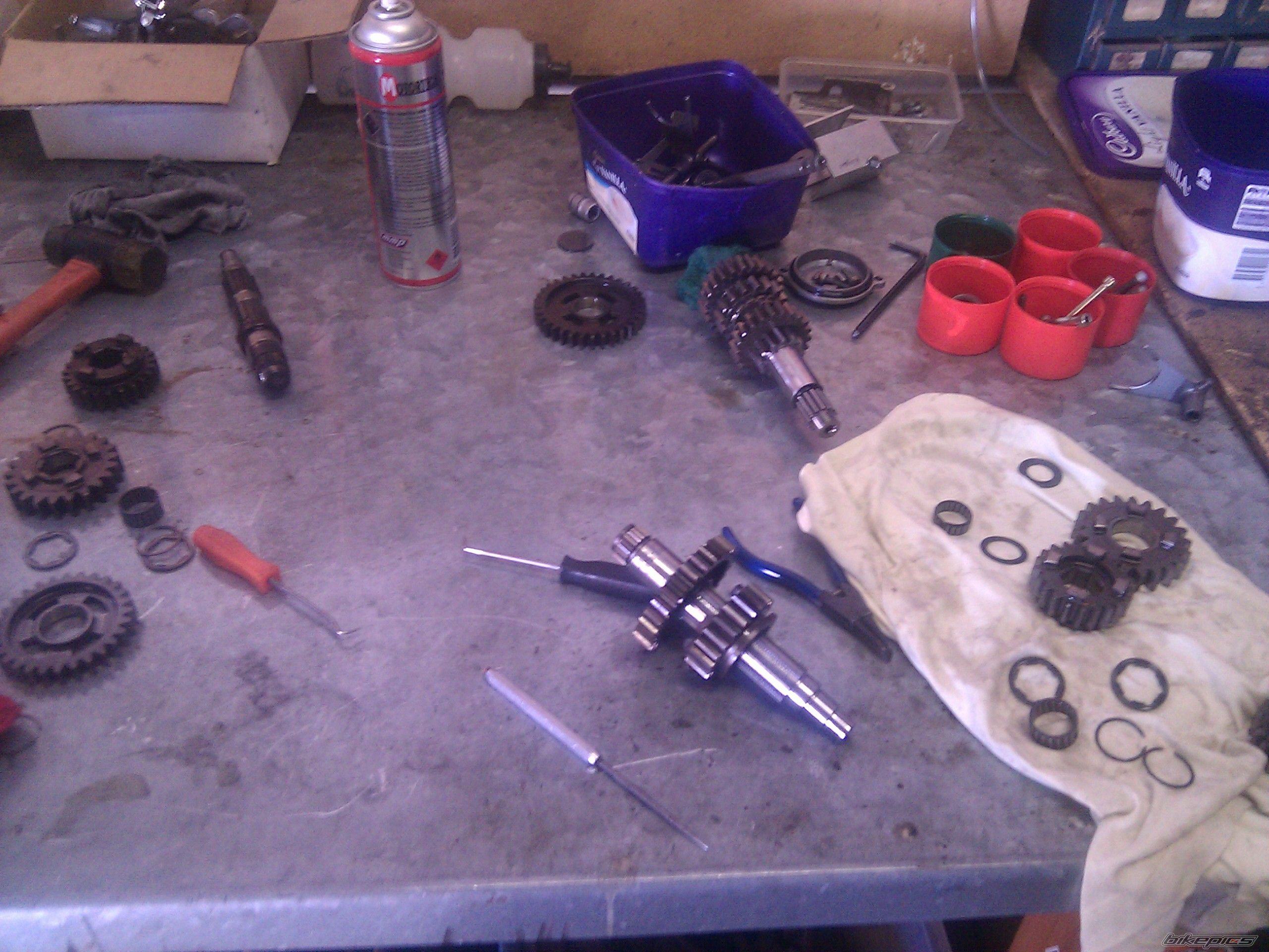 Photo 2574332