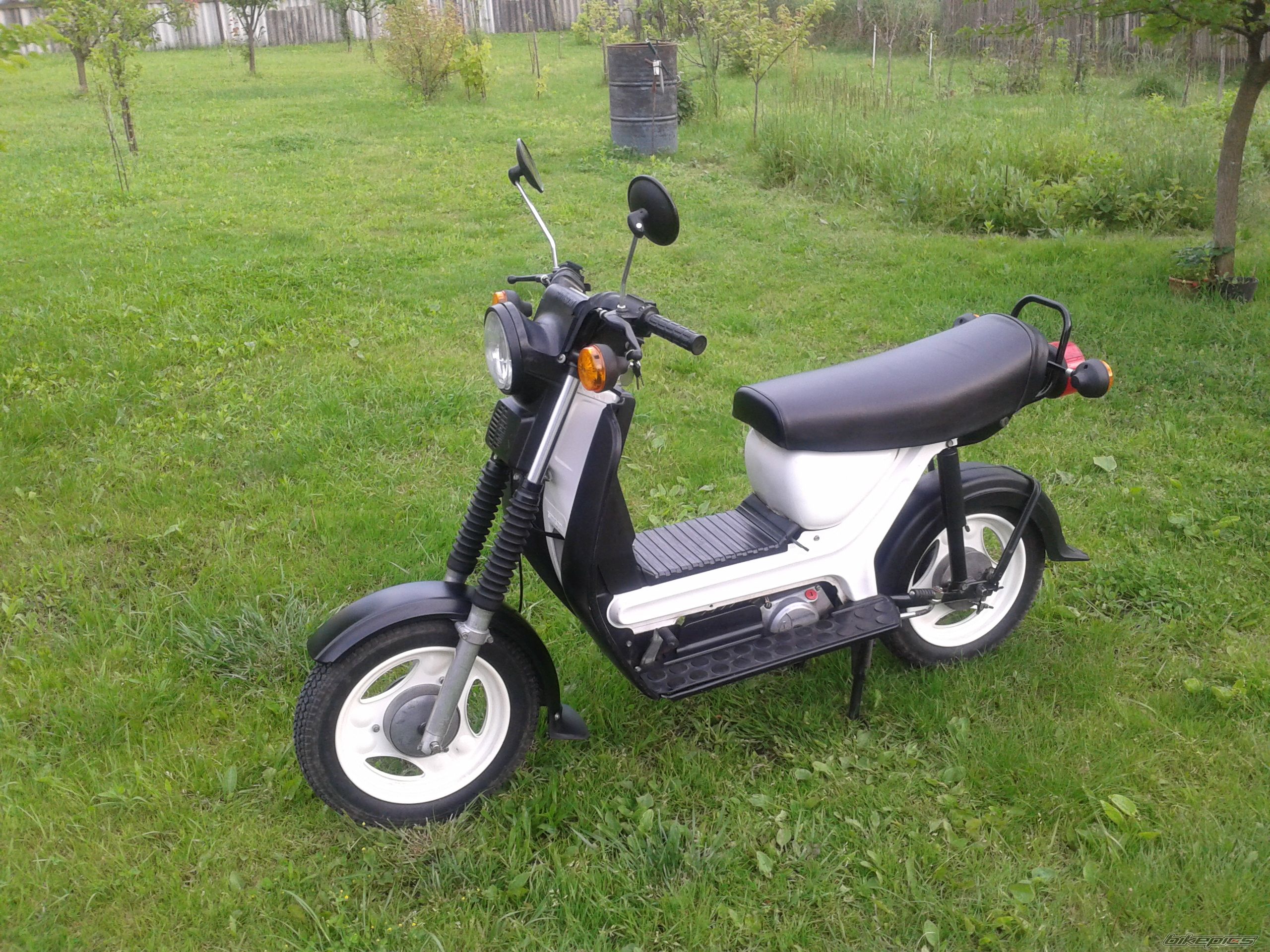 Photo 2574344