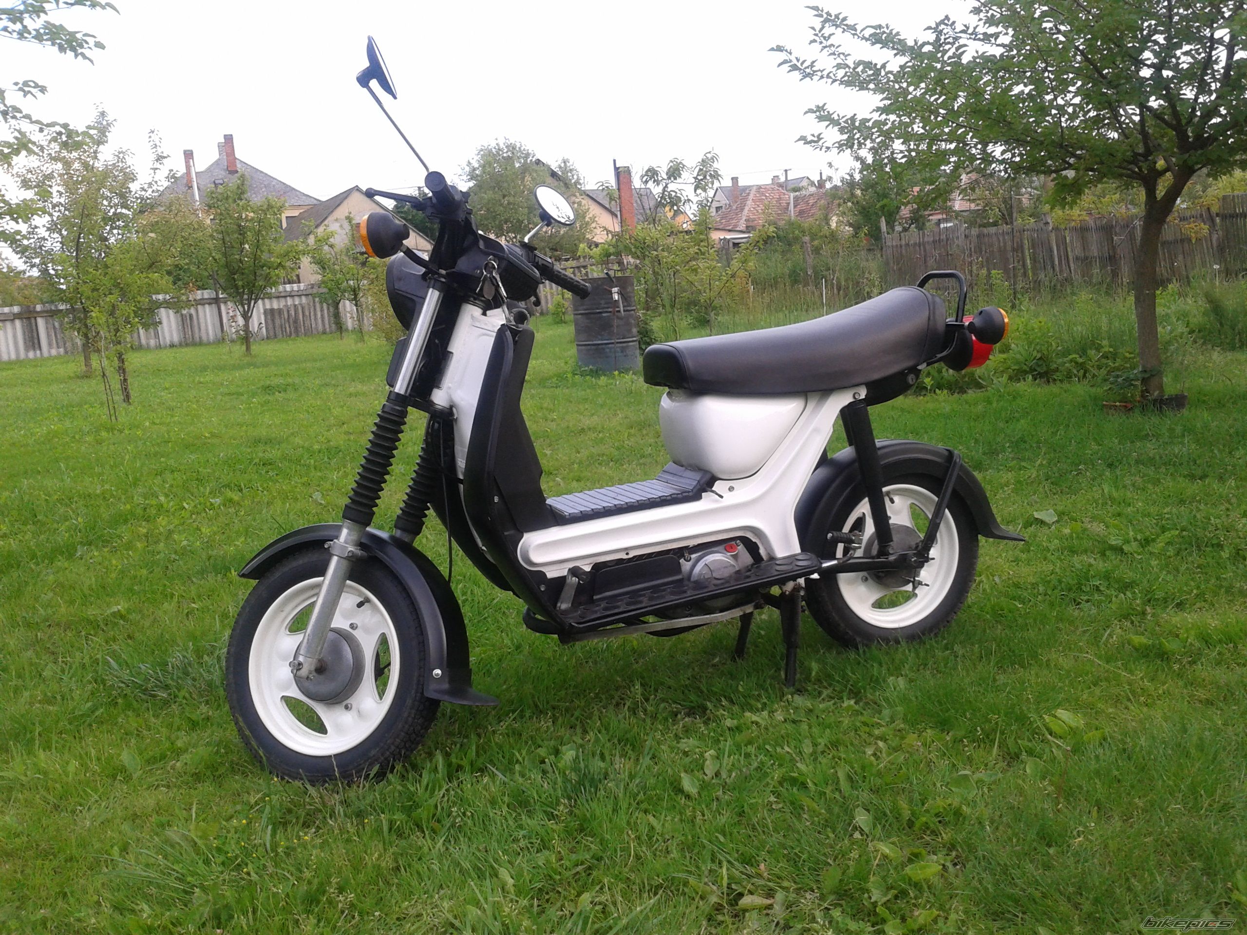 Photo 2574345