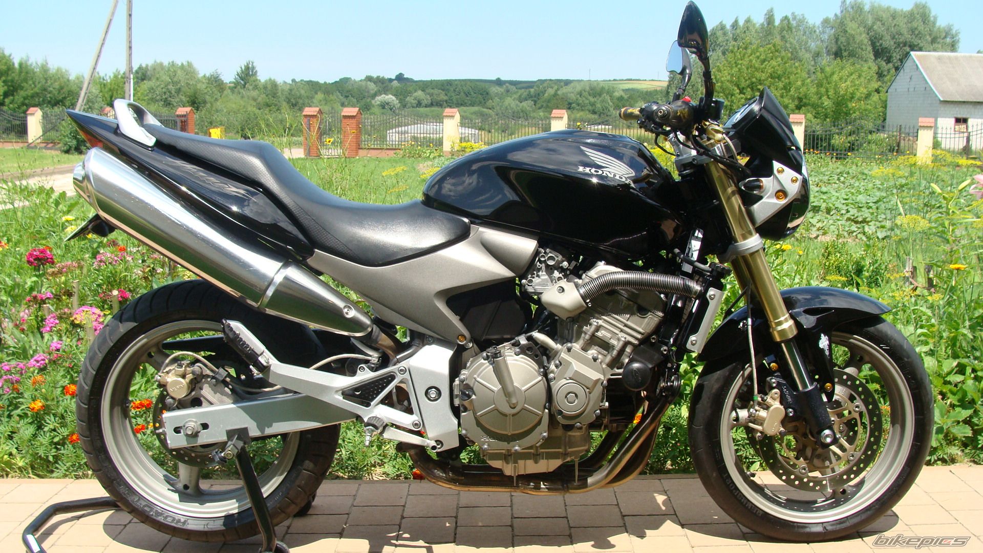 Photo 2574465
