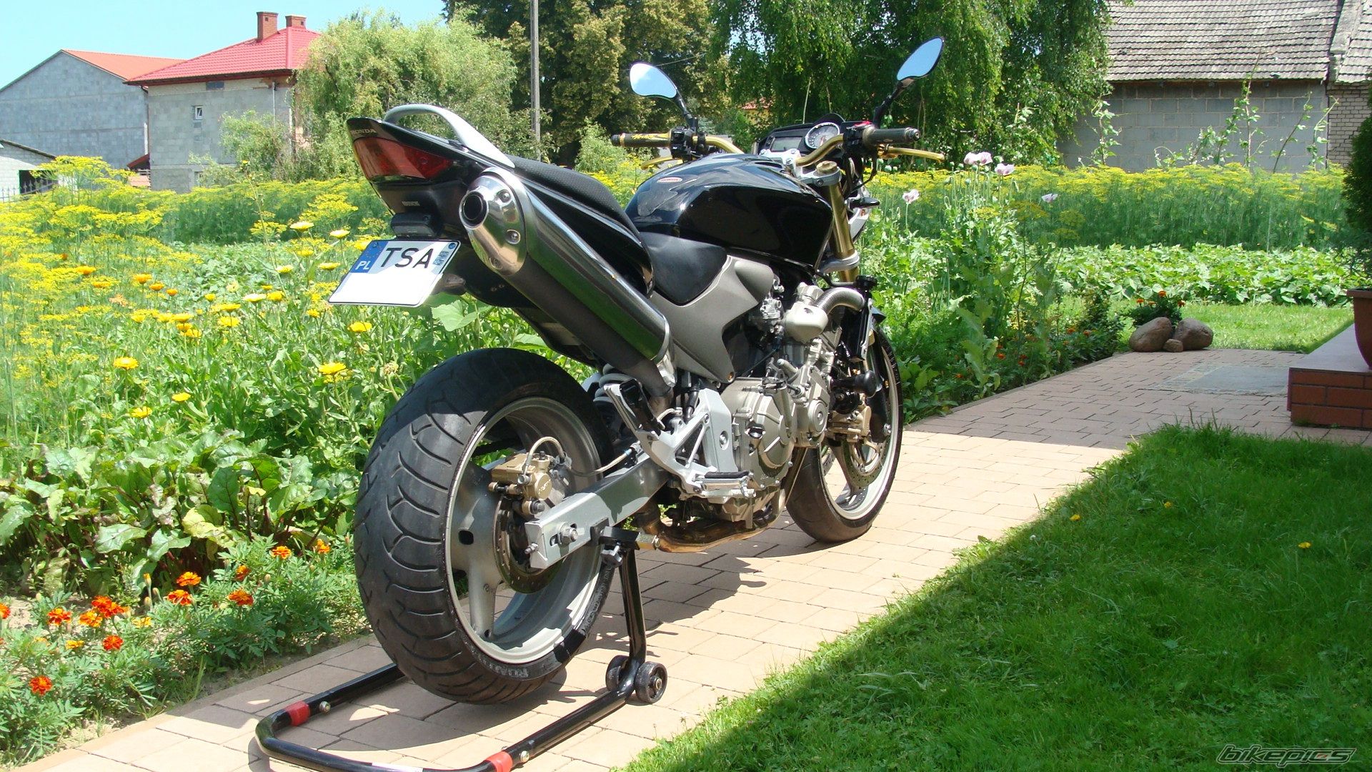 Photo 2574473