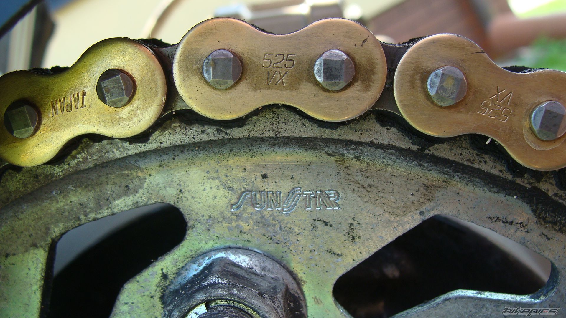 Photo 2574480