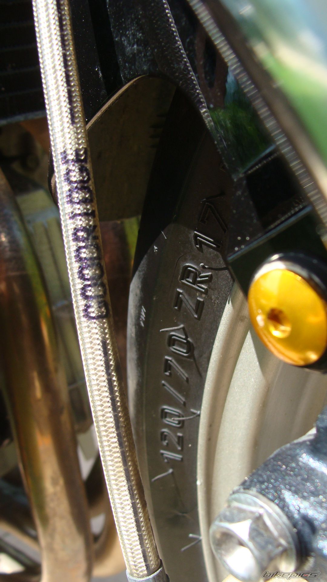 Photo 2574499