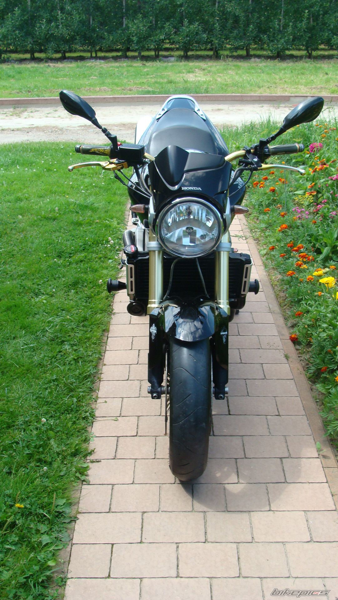 Photo 2574507