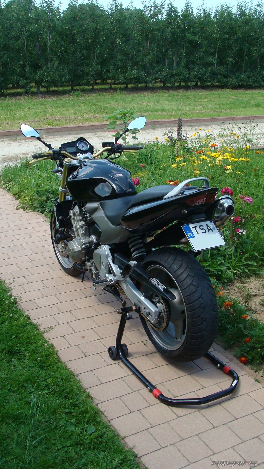 Photo 2574533