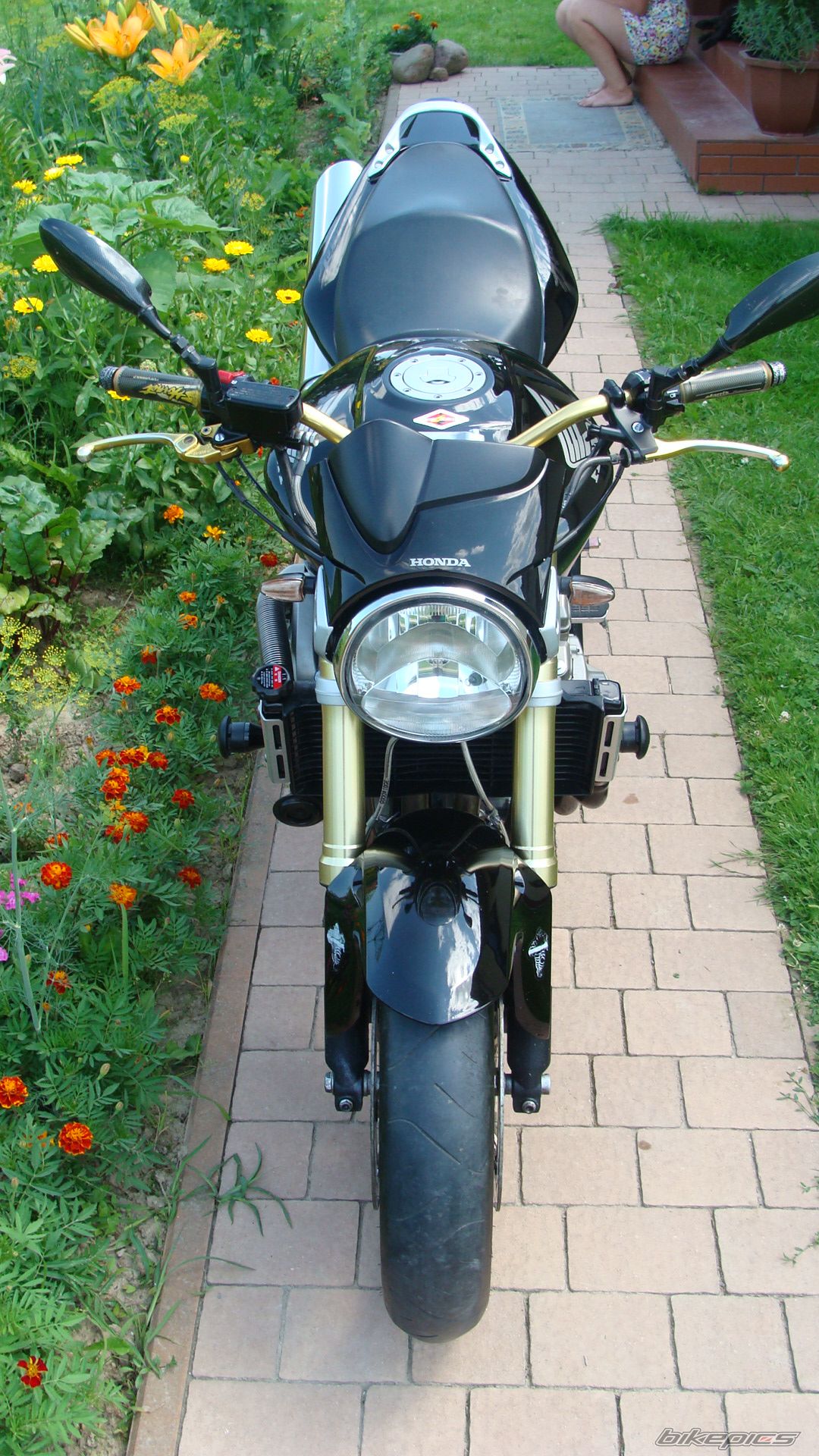 Photo 2574538