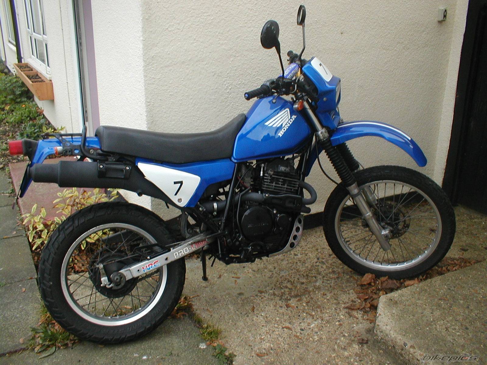 Photo 257469