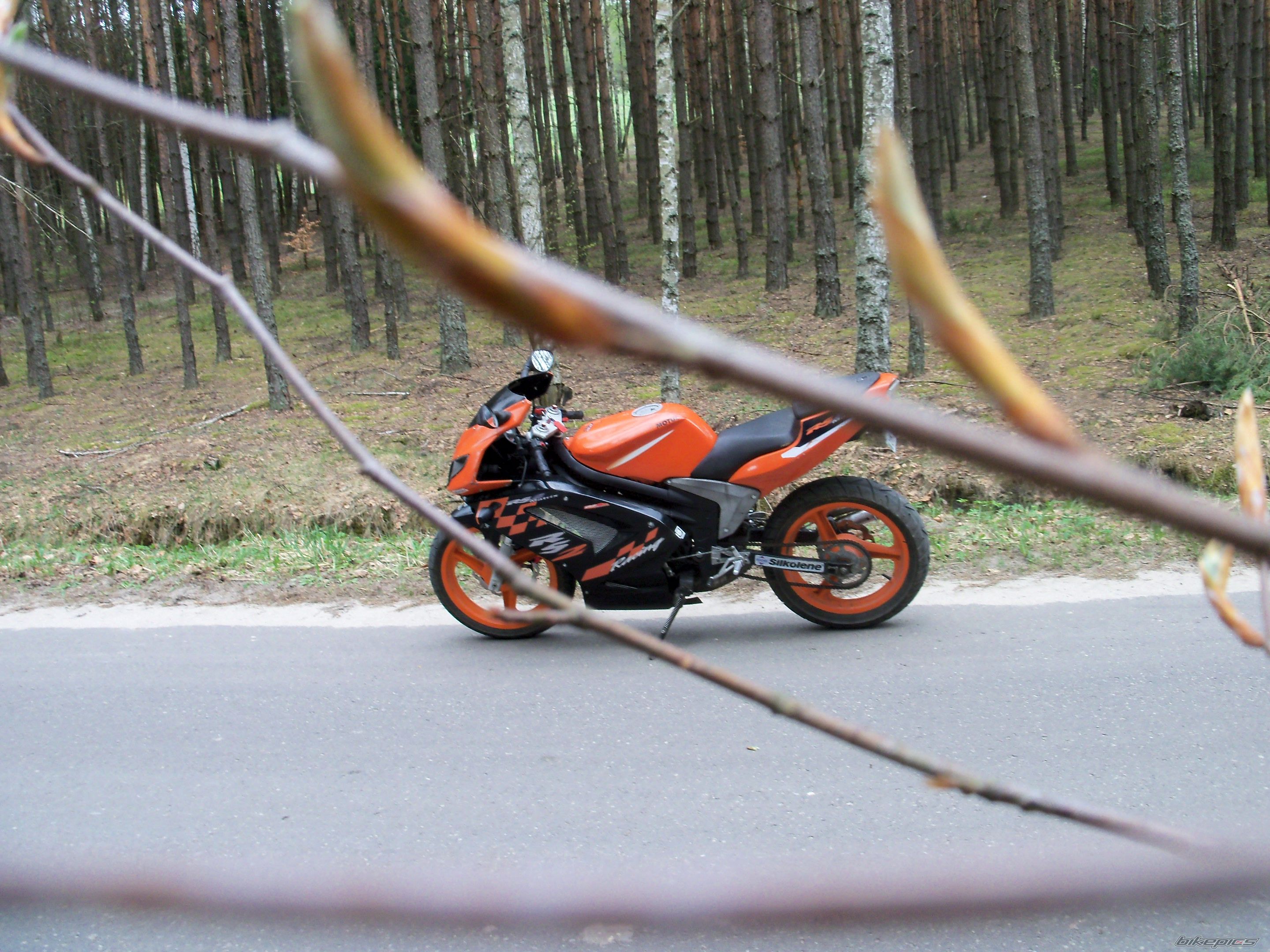 Photo 2574754