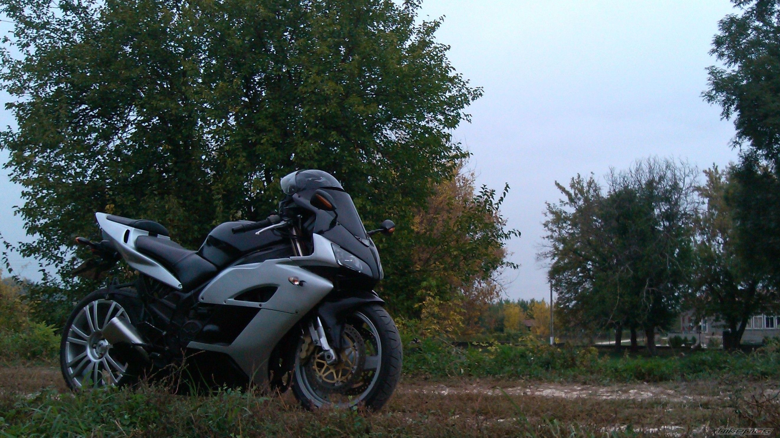 Photo 2574766